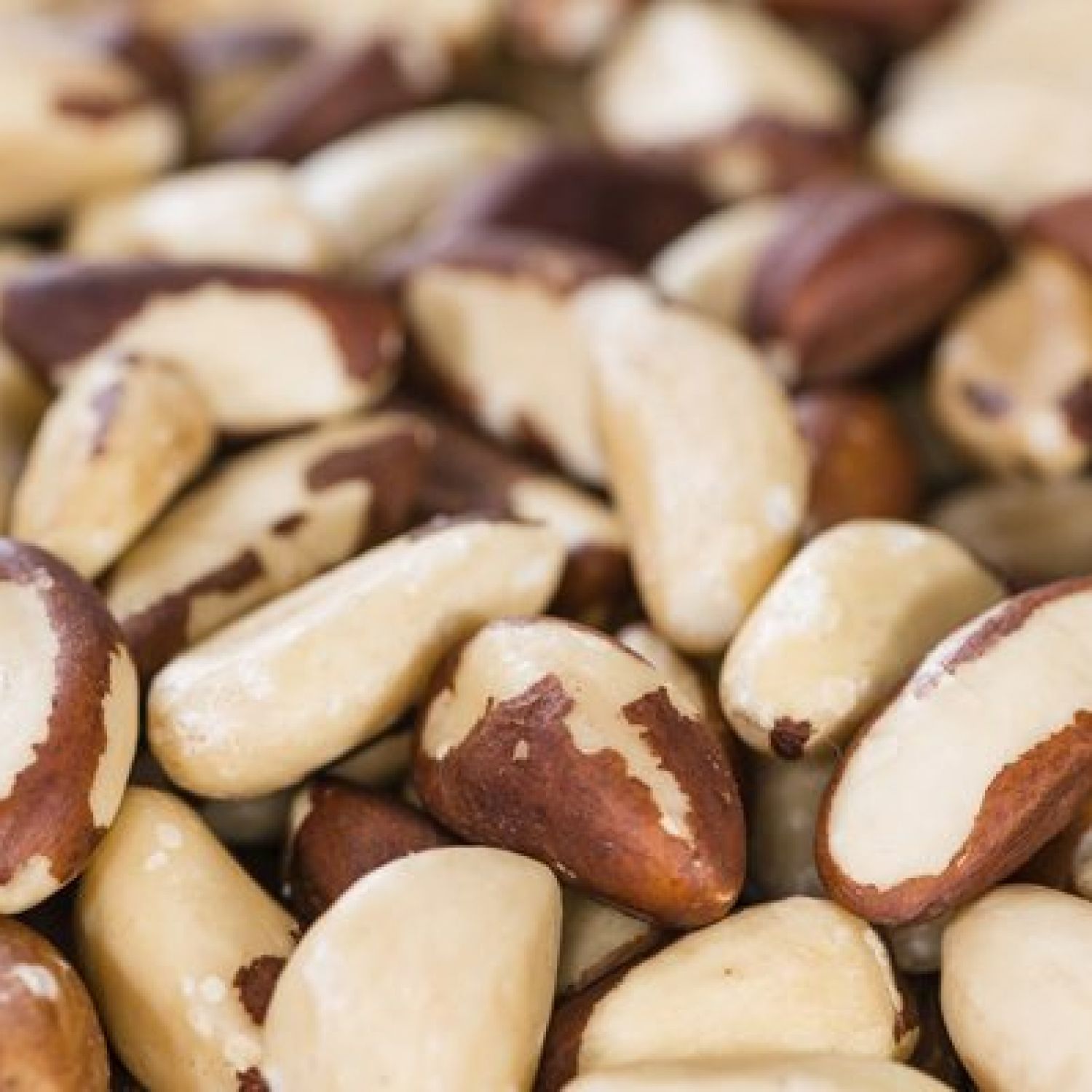 Castaña (Brazil nut) 1Kg